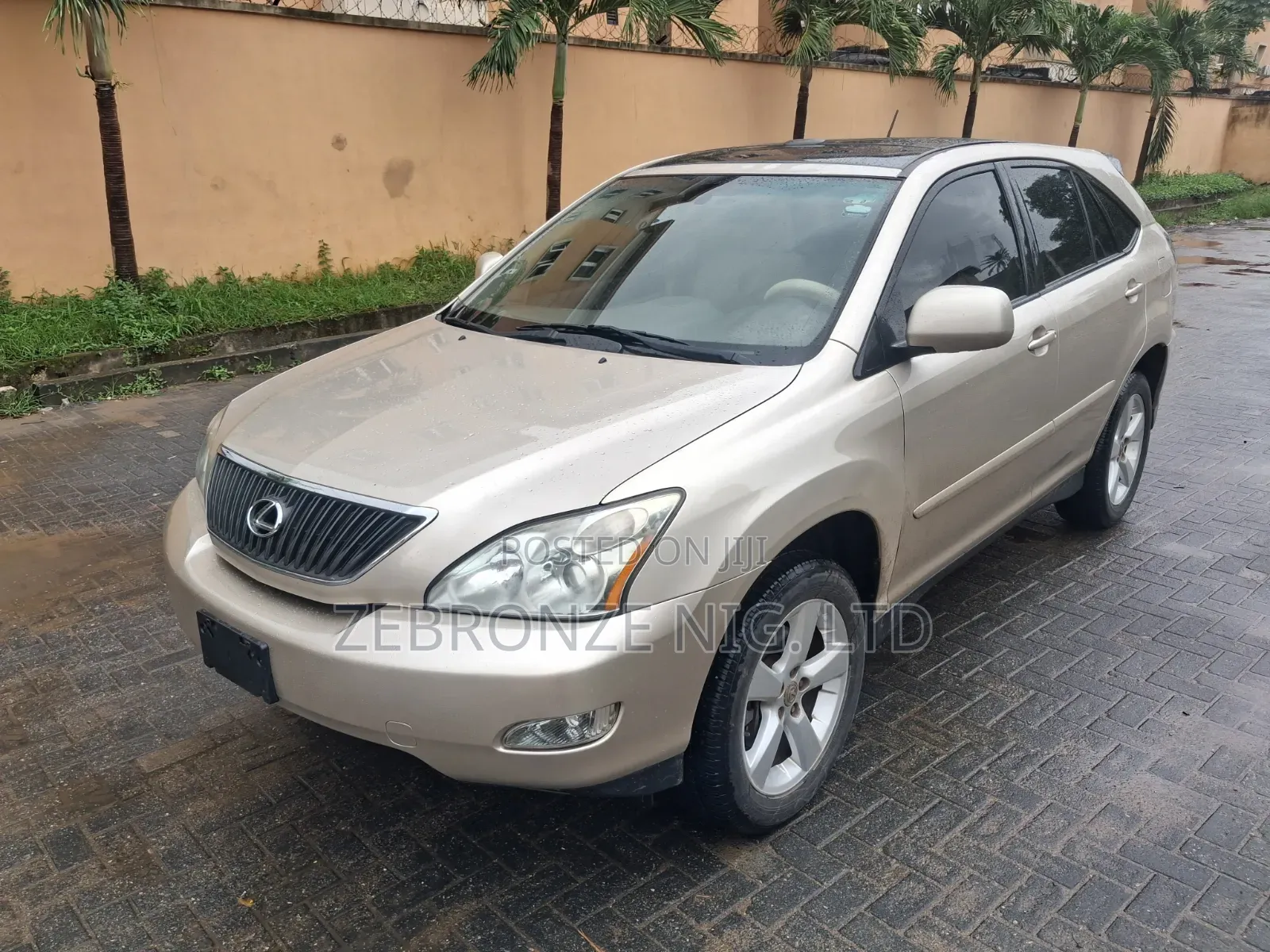 Lexus RX 2005 Gold