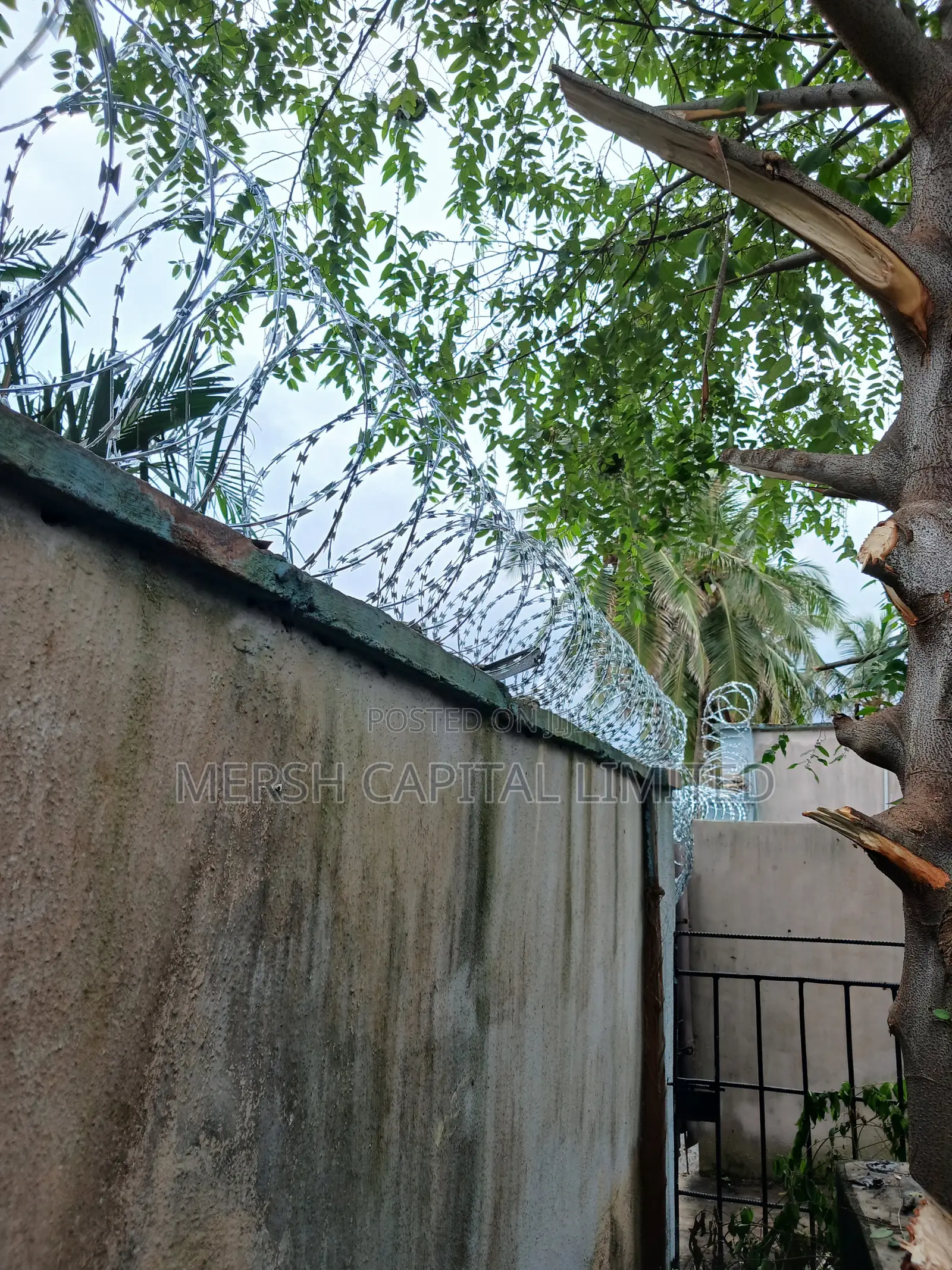 High-Quality Concertina Razor Wire Professional Security Fencing