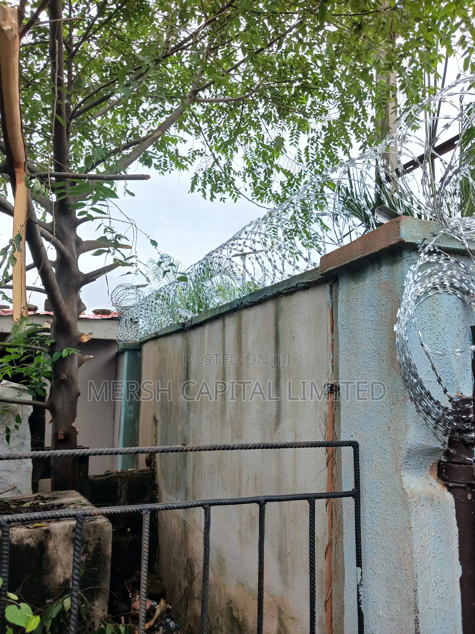 High-Quality Concertina Razor Wire Professional Security Fencing