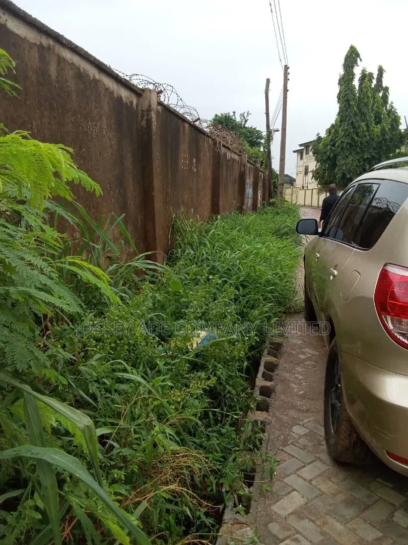 A Full Plot of Land