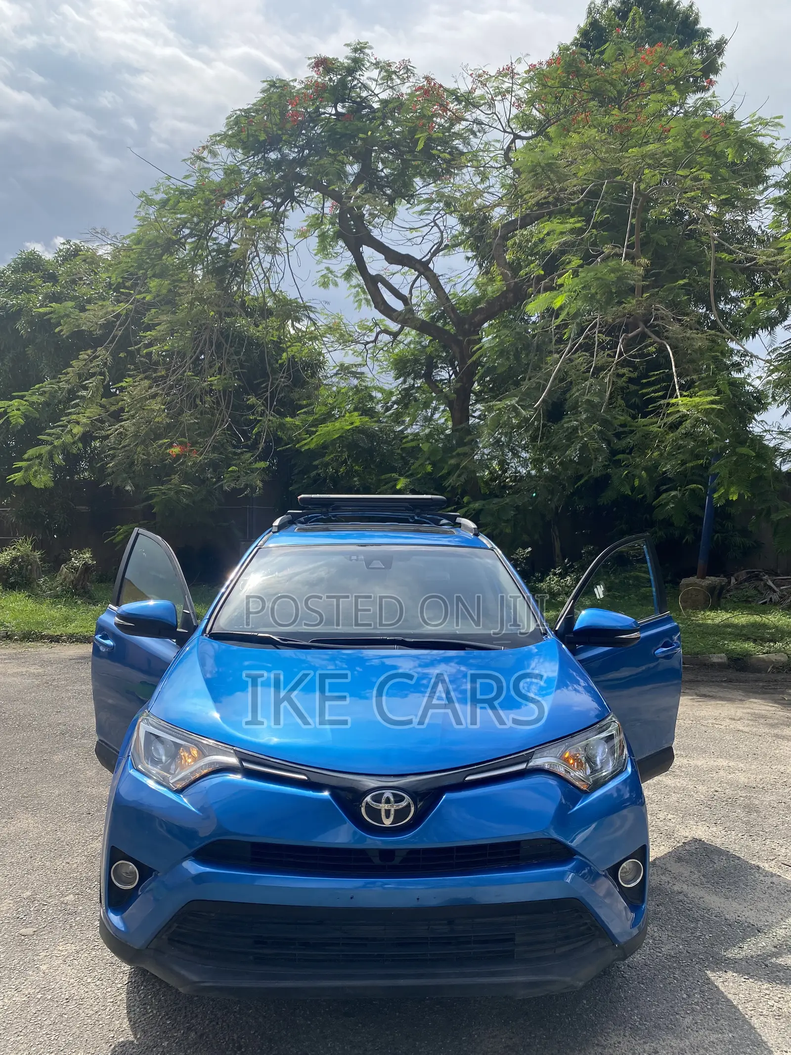 Toyota RAV4 2018 Blue