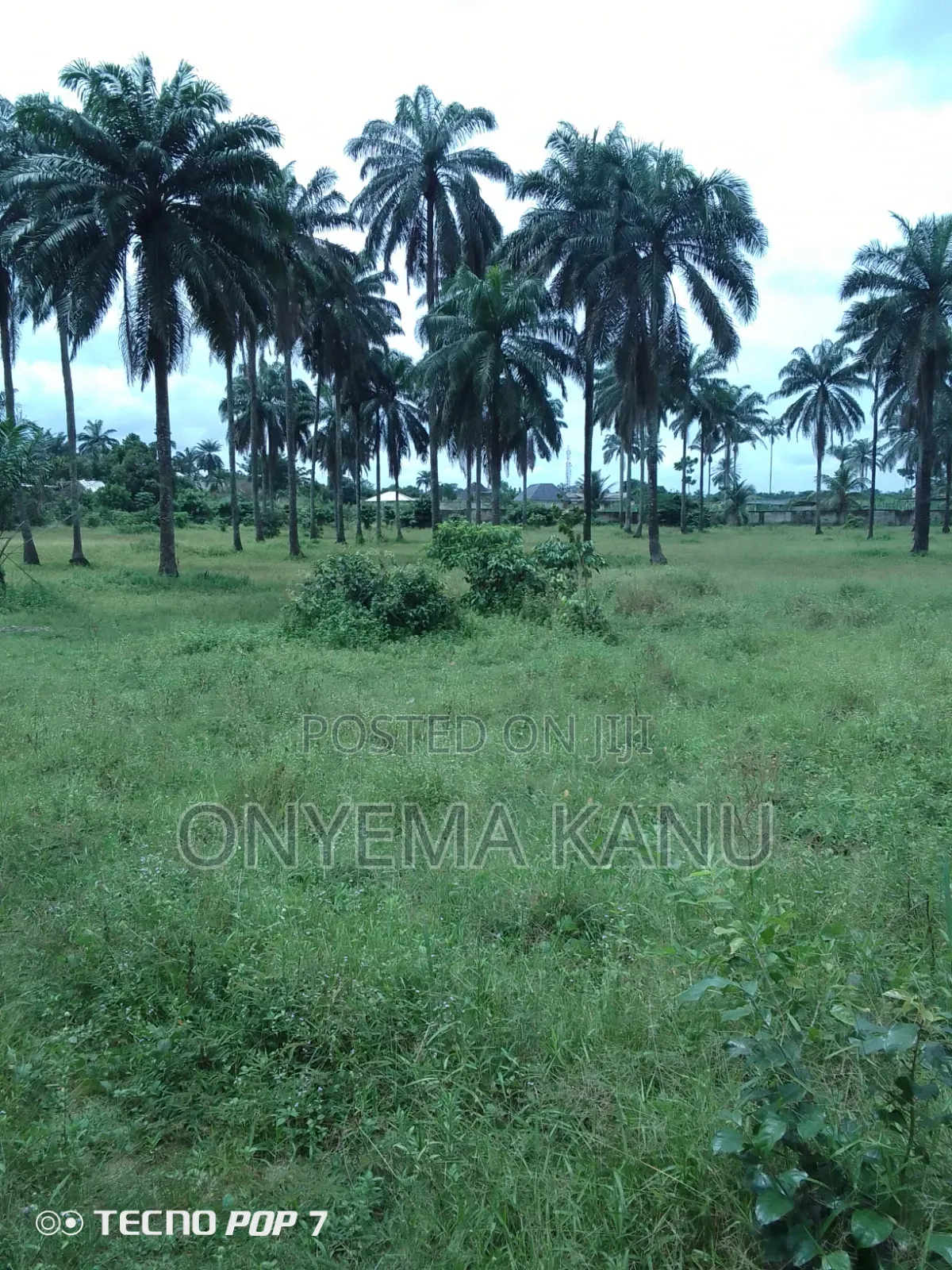 30 Plots Facing Aba - Port Harcourt Highway.