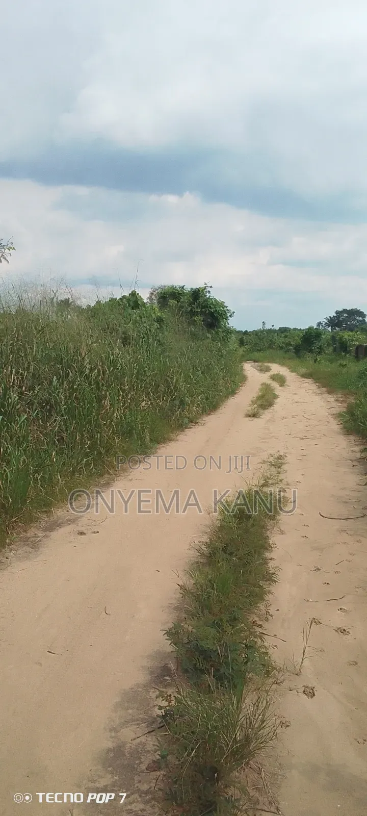 41 Plots Awaiting a Prompt Buyer.
