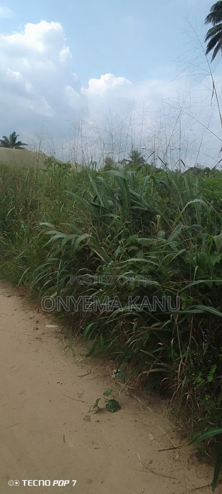 41 Plots Awaiting a Prompt Buyer.