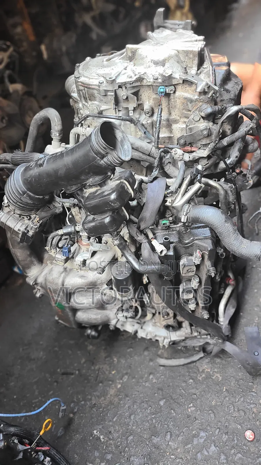 Nissan Quest,Maxima(Dagrin)2005 3.5l V6