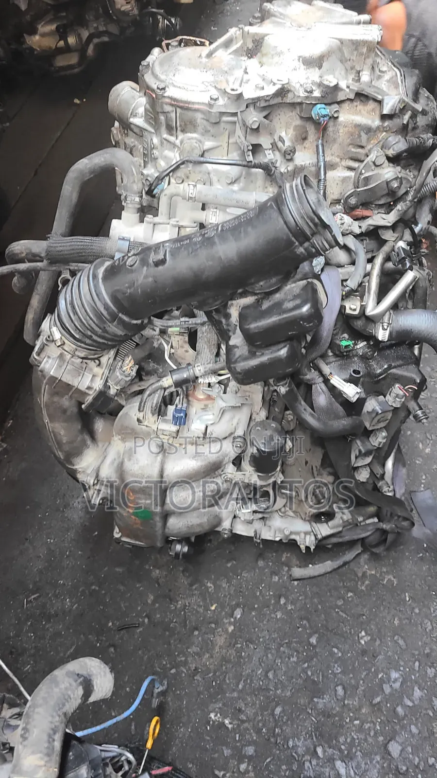 Nissan Quest,Maxima(Dagrin)2005 3.5l V6
