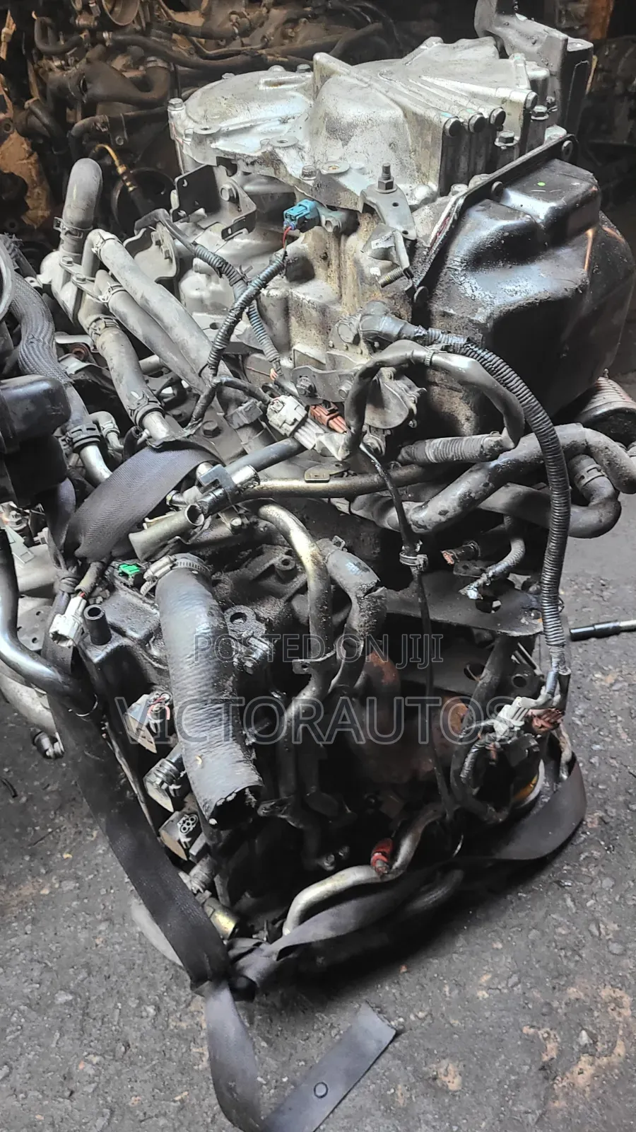 Nissan Quest,Maxima(Dagrin)2005 3.5l V6