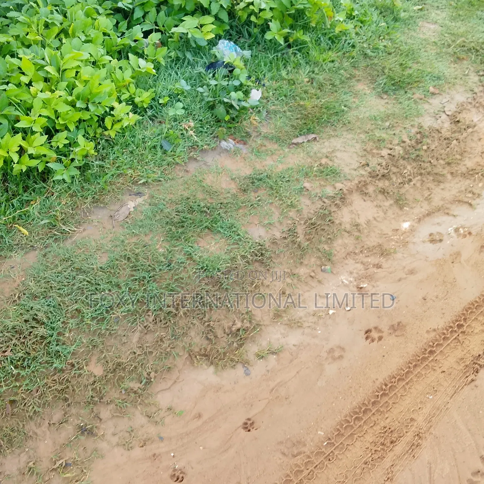 65 Hectares Land at Wasa