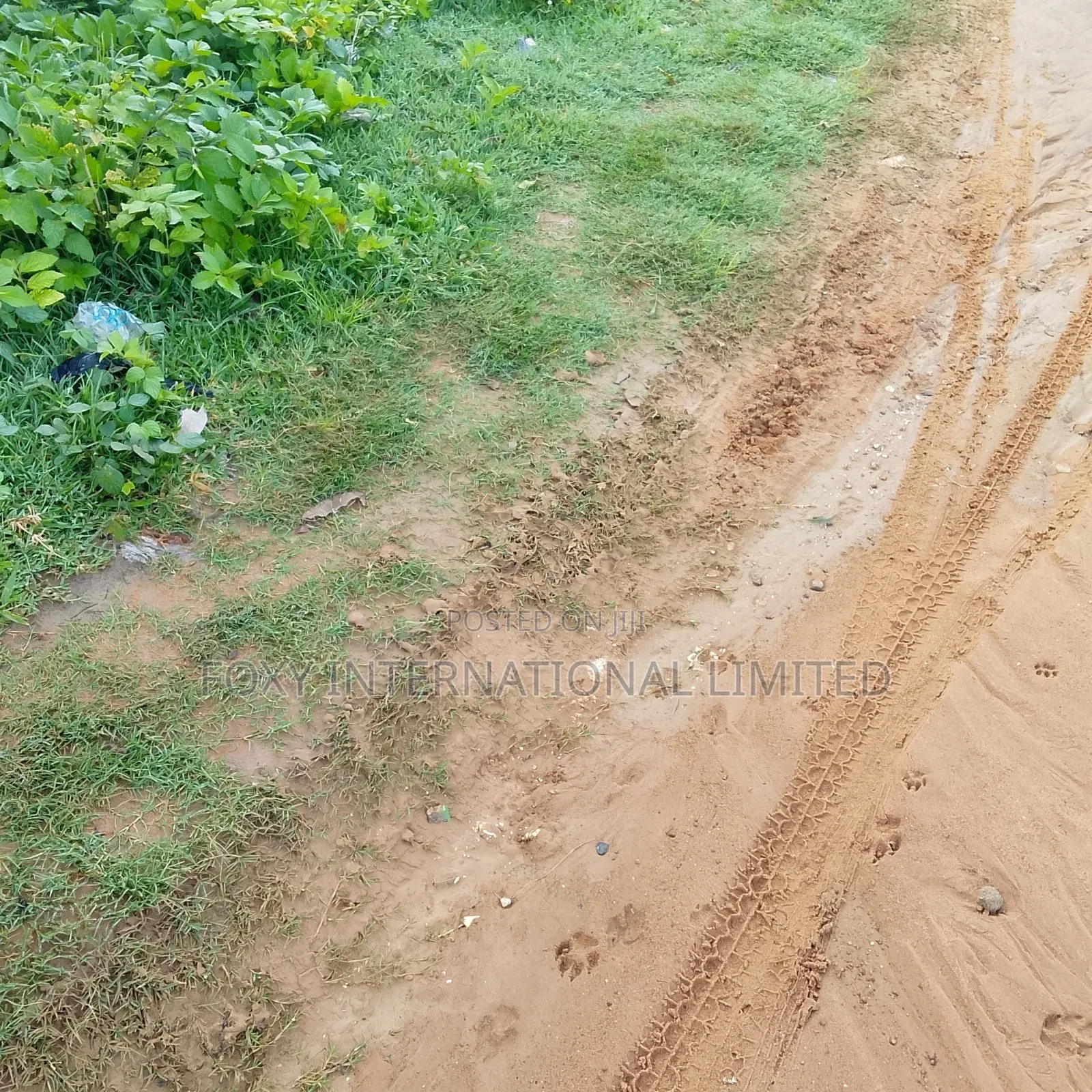 65 Hectares Land at Wasa