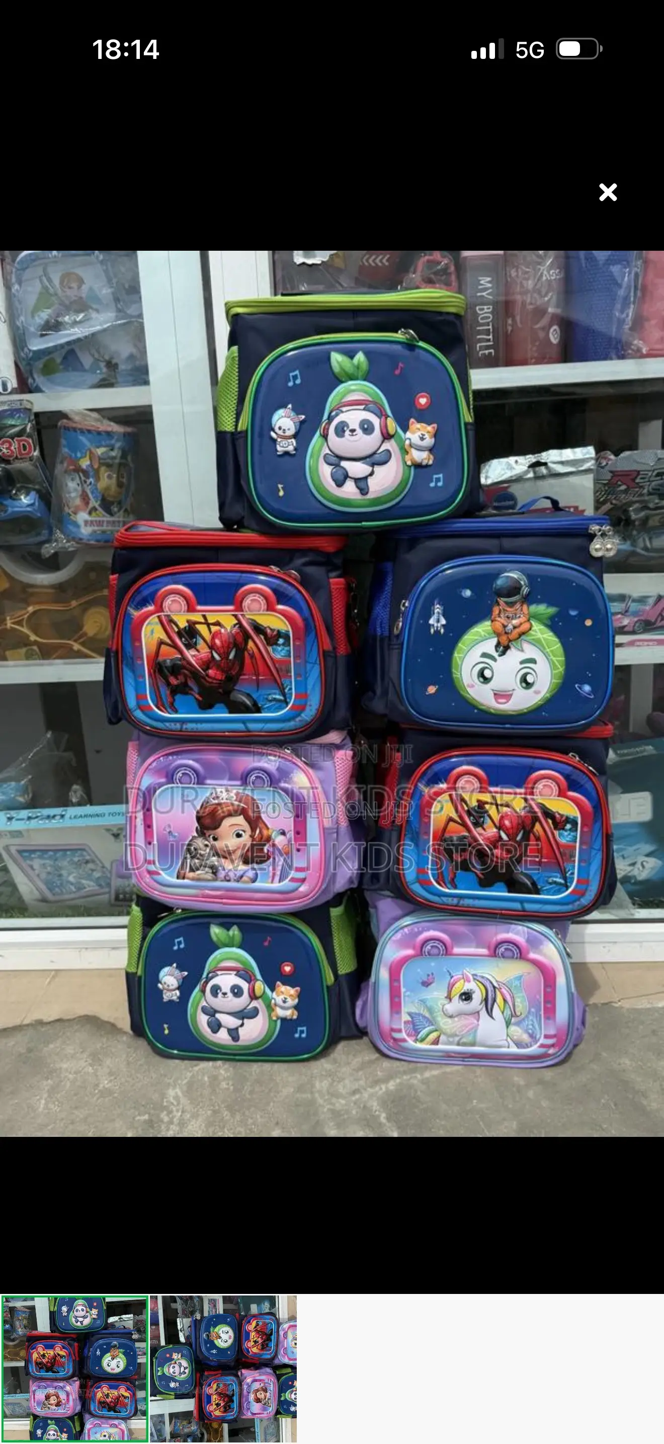 Fancy Quality Character Lunch Bag