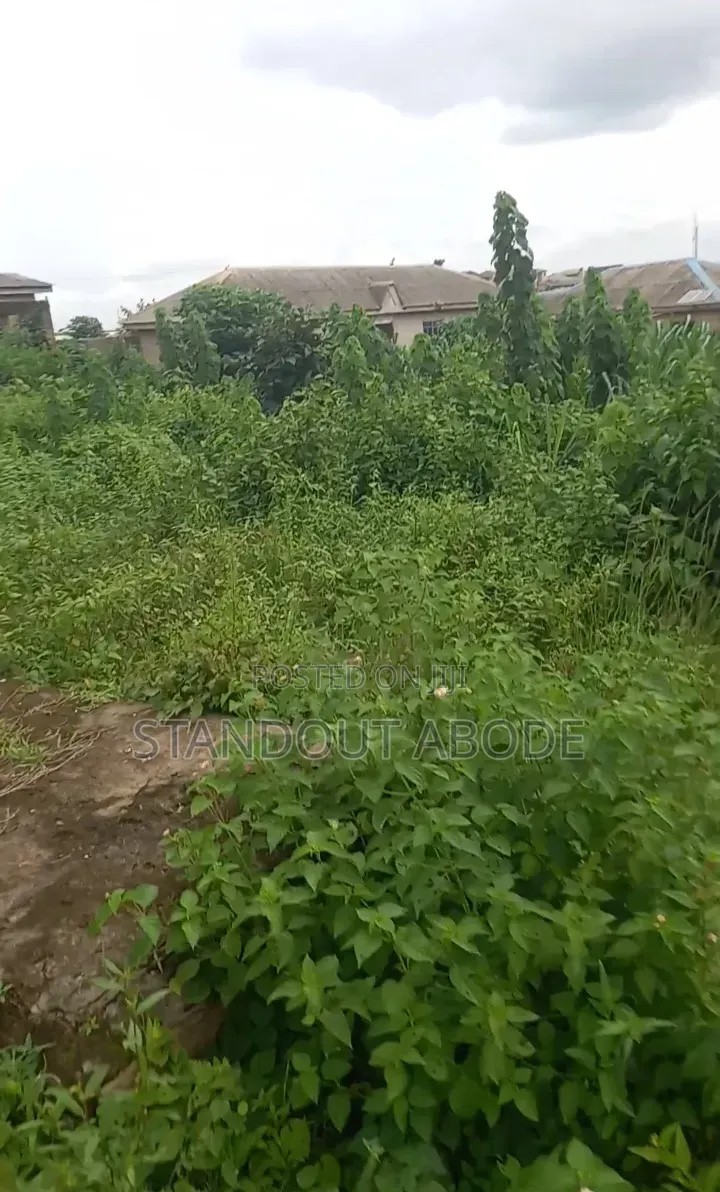 Half Plot 2 House to Lasunwon Road Lasustech First Gate Ikorodu
