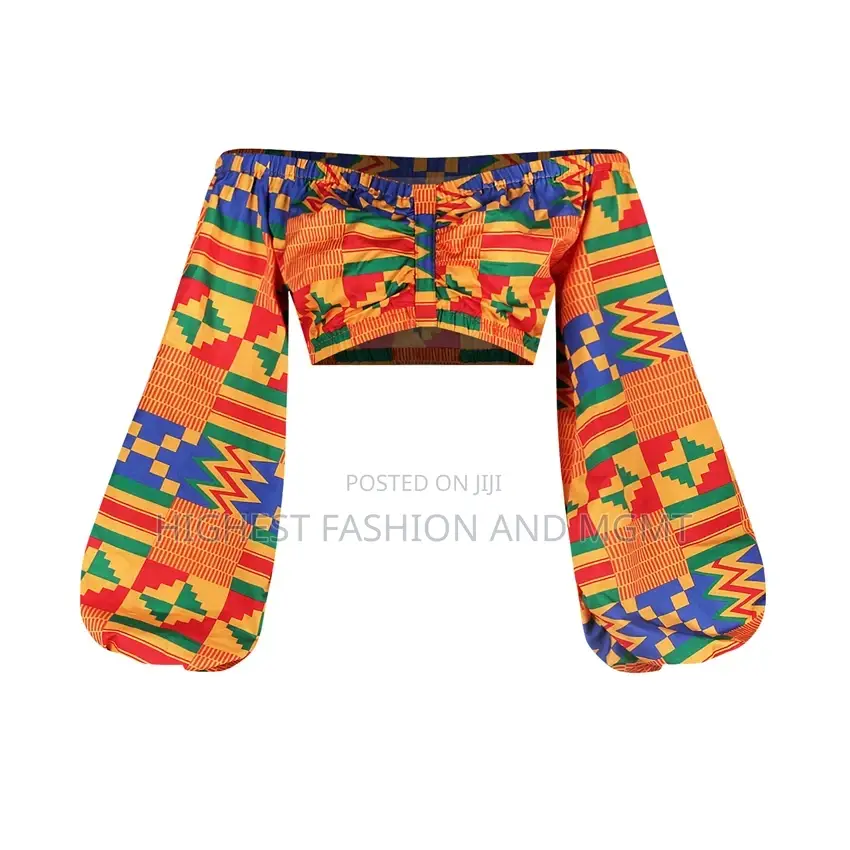 Print Lantern Sleeve Crop Top and Skirt