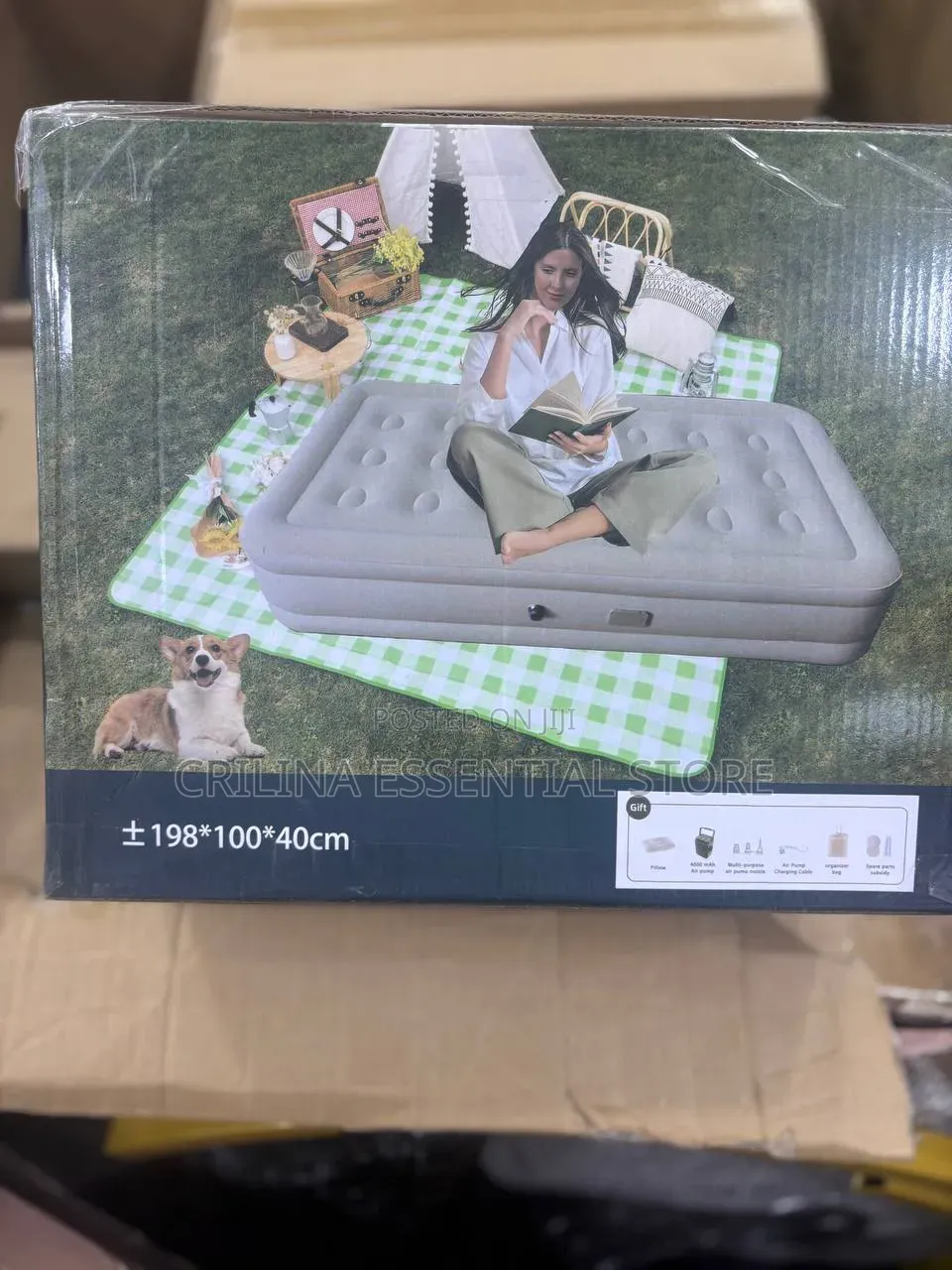 3-by-6 Inflatable Bed With Built-in Pump(Size: 198cm X 100cm X 40cm)