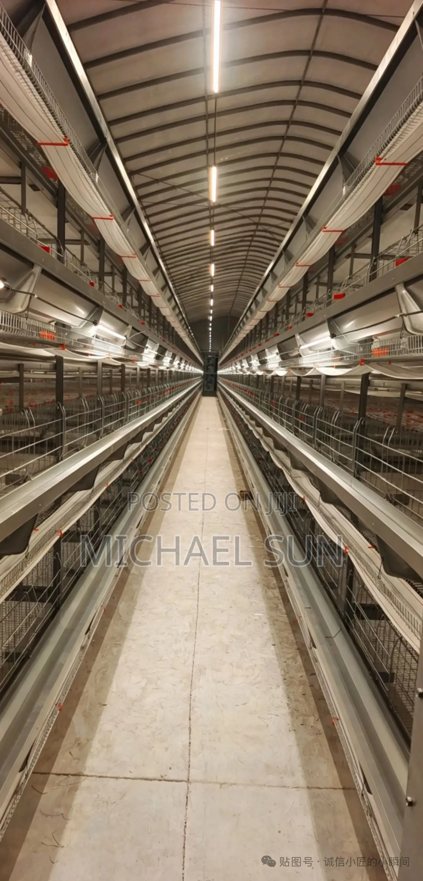 Poultry Layer Cage Battery Cages Chicken Hens Cage