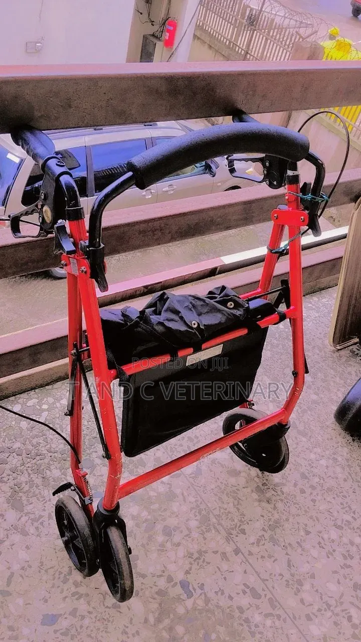 Adult Mobile Walking Aid Wheelchair