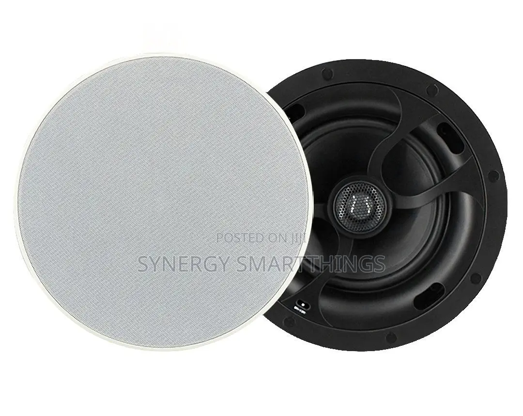 30watt Passive Ceiling Speaker