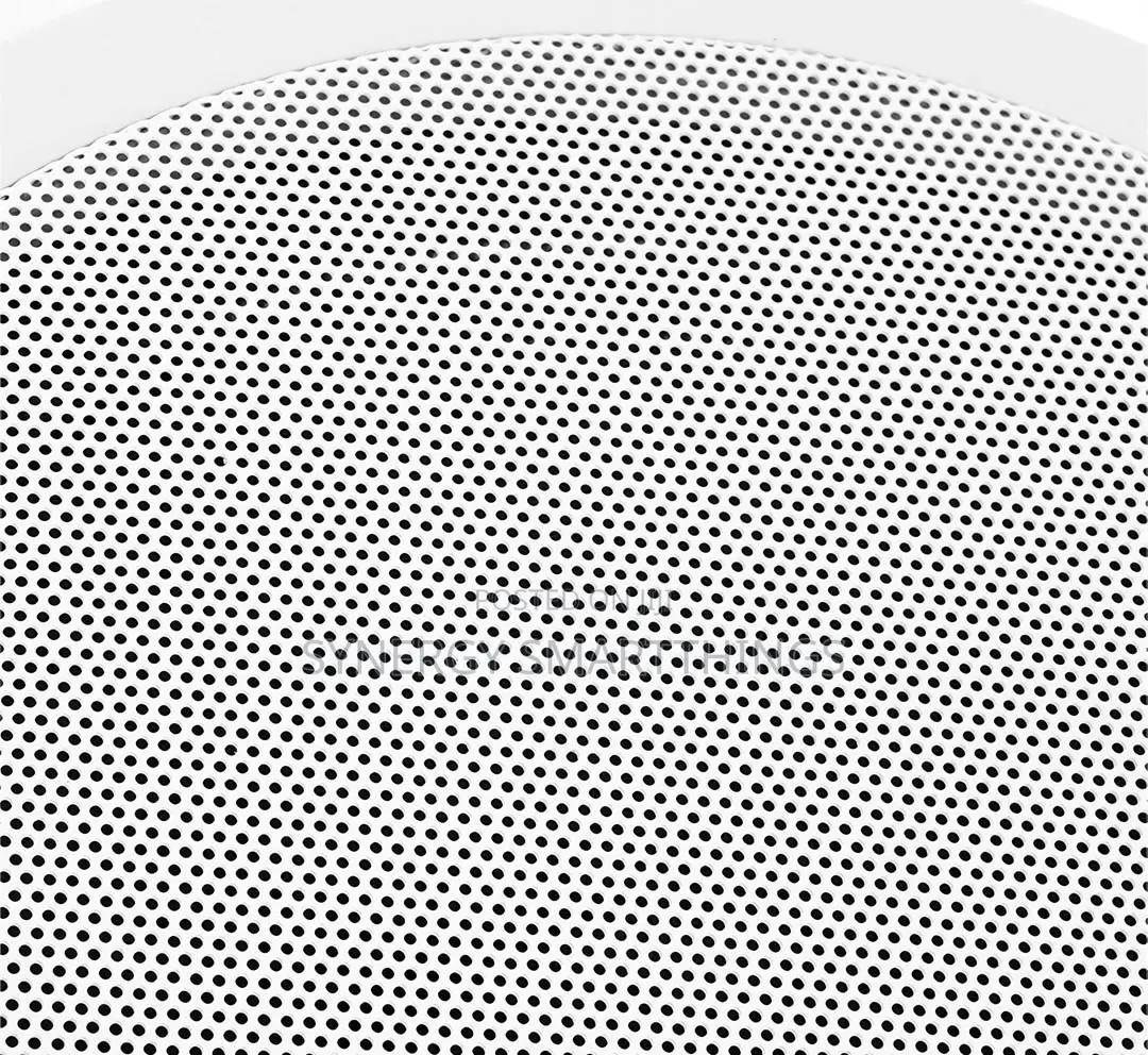 30watt Passive Ceiling Speaker