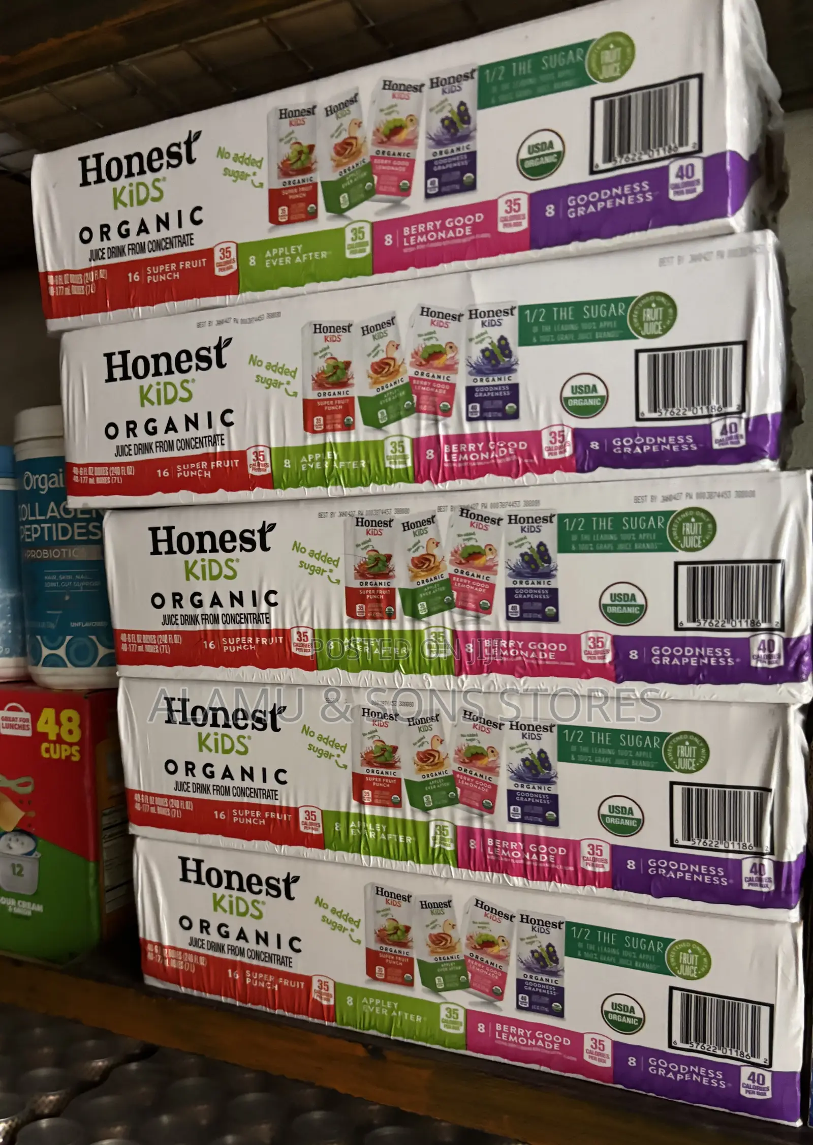 Honest Kids Organic Juice Drink