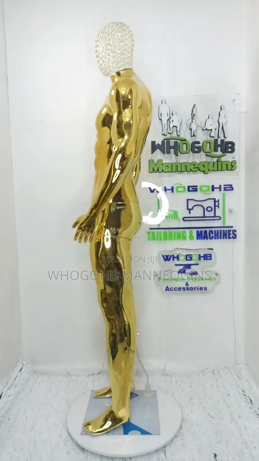 Dimkpa Muscular Gold Chrome Male With Diamond Net Head