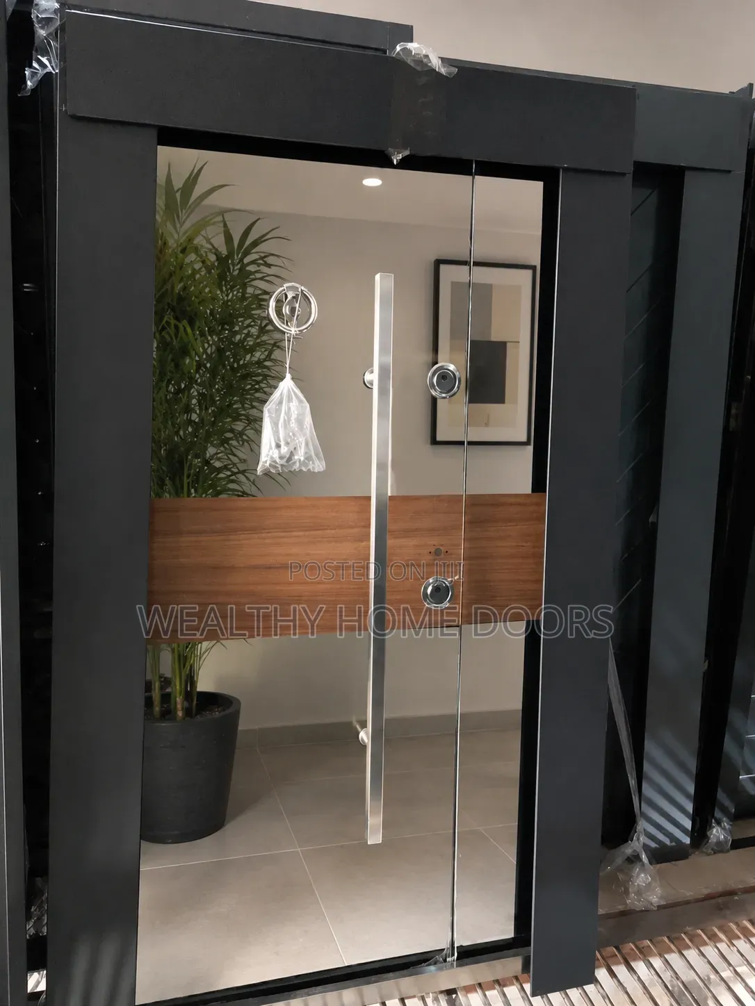 High Luxury Steel Door