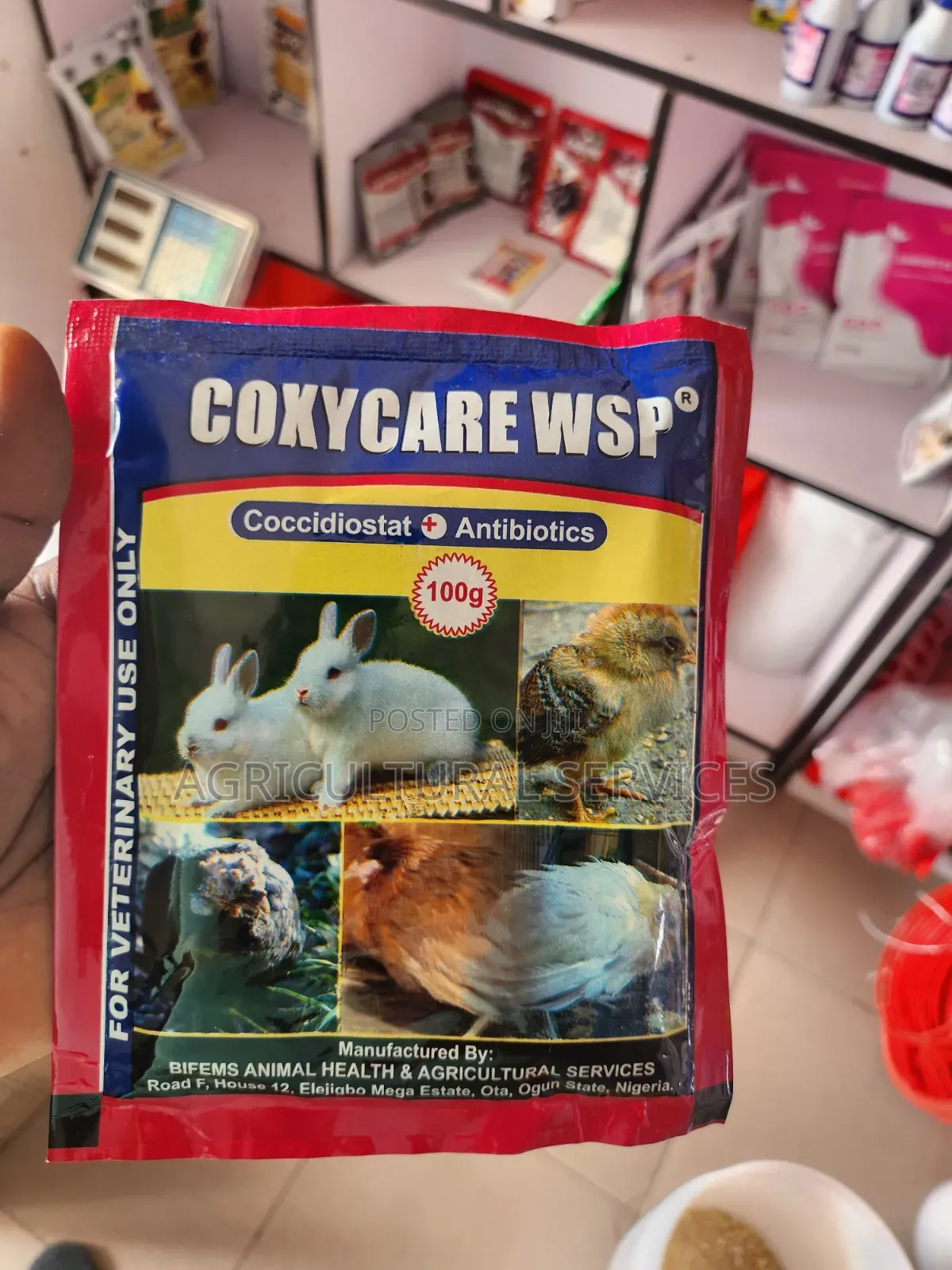 Coxycare WSP