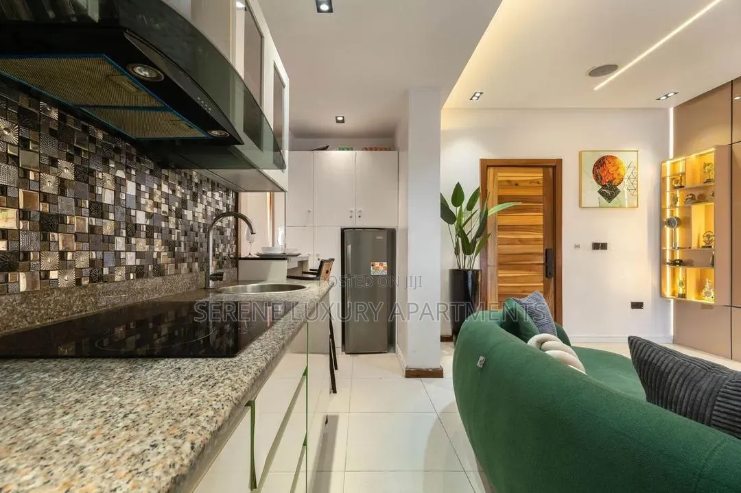 Luxury One Bedroom Apartment With Private Cinema