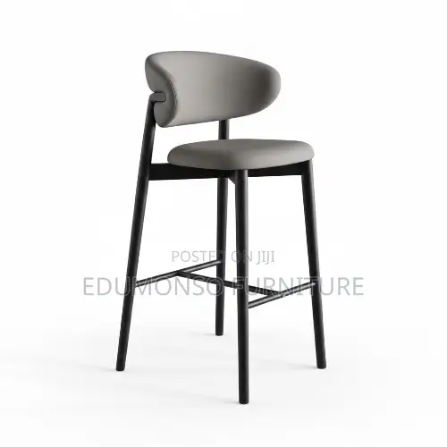 Contemporary Bar Stool With Backrest