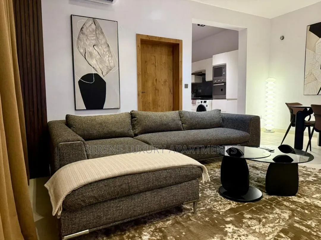 Stylish and Luxury One Bedroom Apartment With Top Notch Amenities