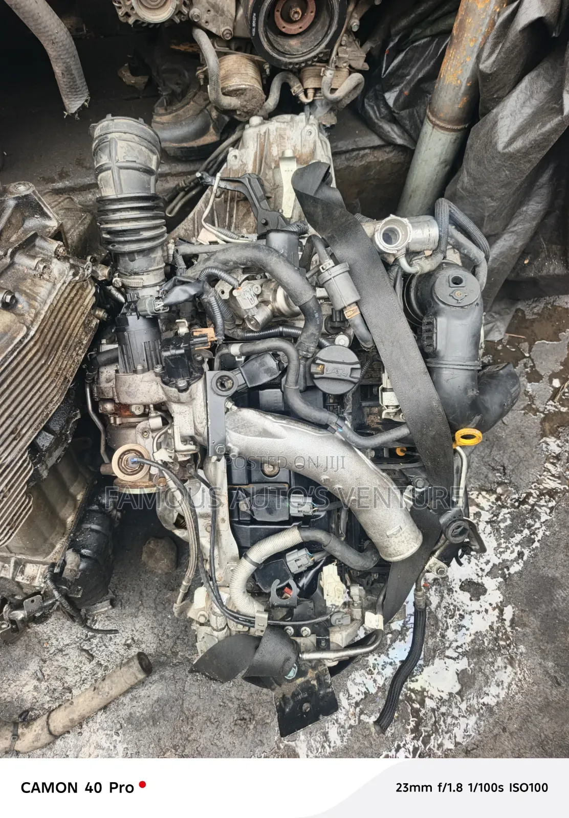 Nissan Juke Engine or Manual Transmission