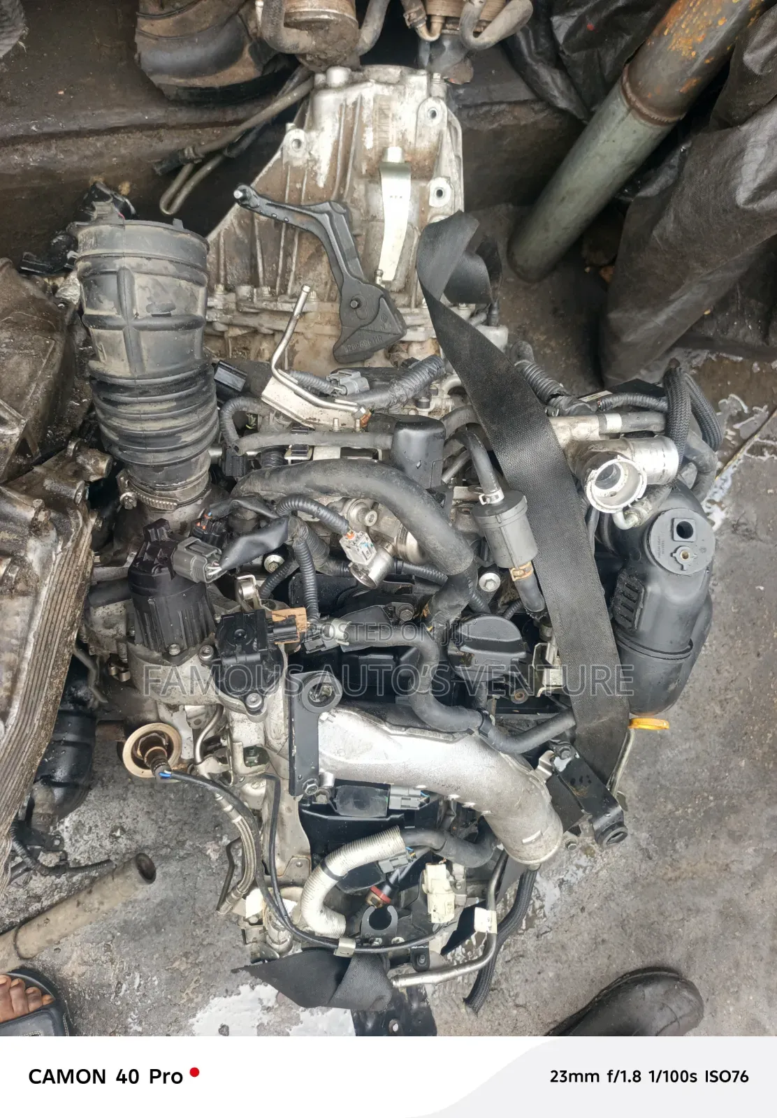 Nissan Juke Engine or Manual Transmission