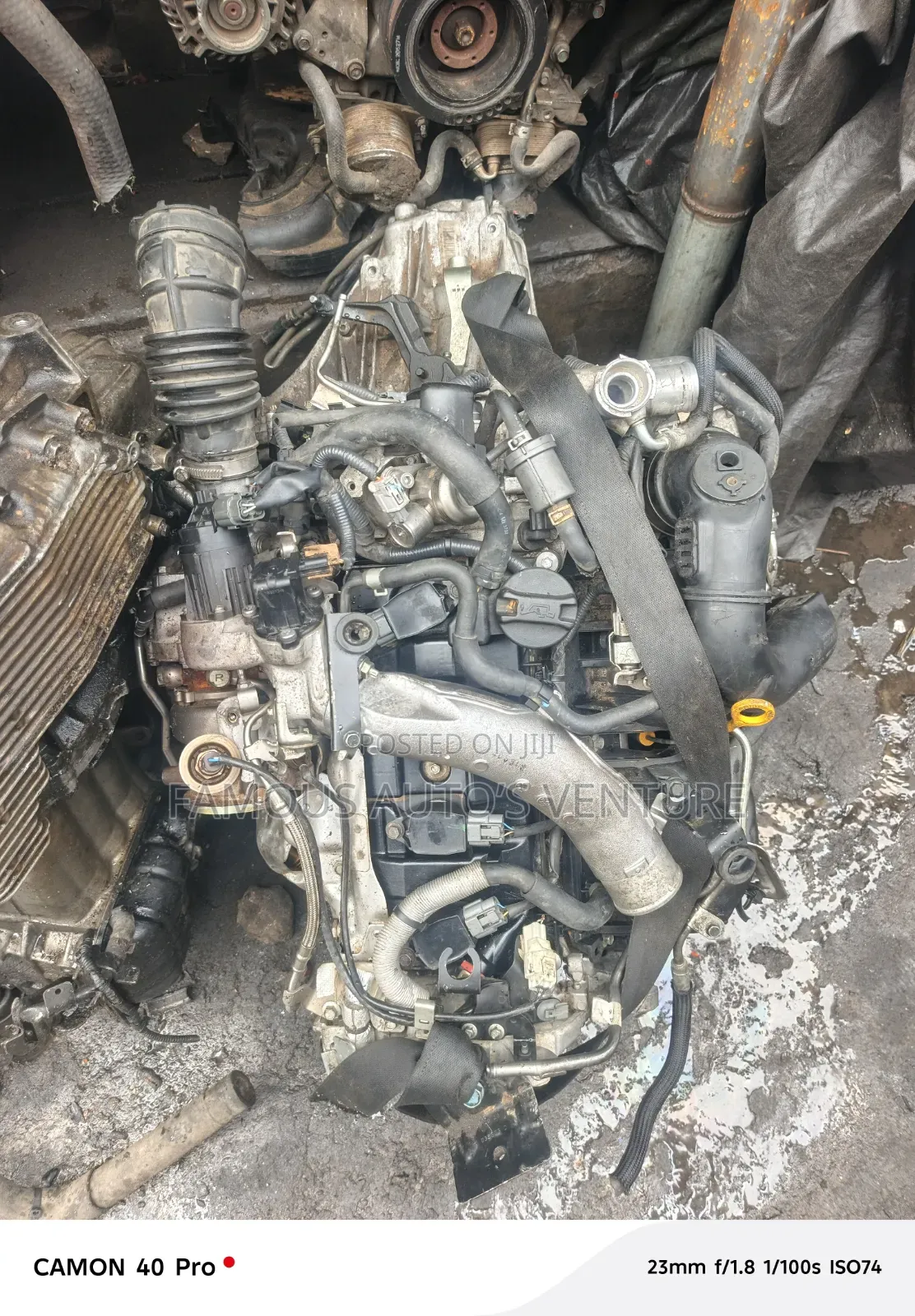 Nissan Juke Engine or Manual Transmission
