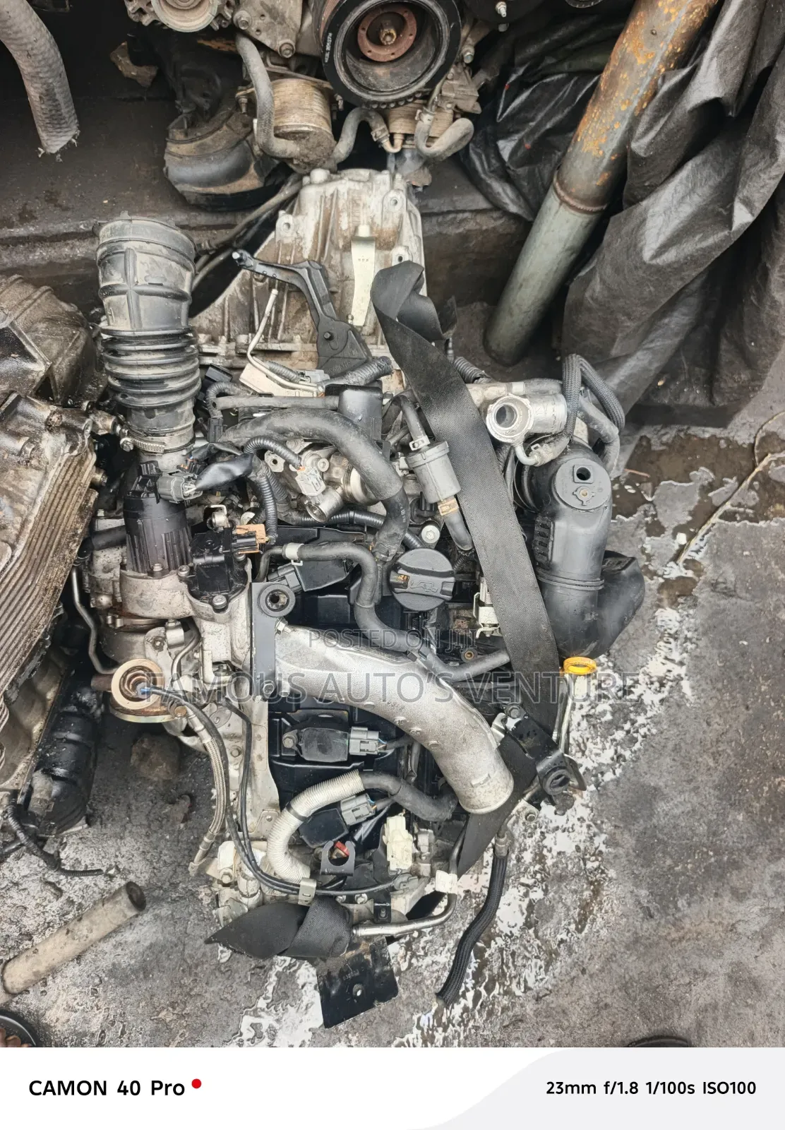 Nissan Juke Engine or Manual Transmission