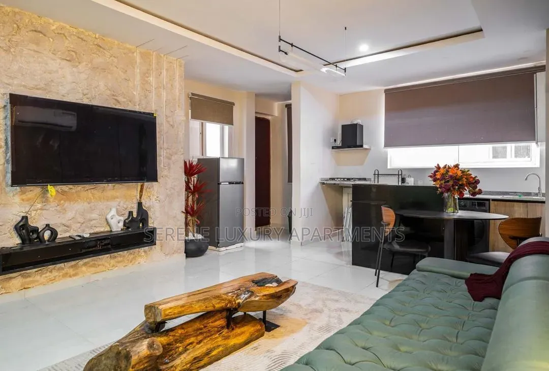 Luxurious One Bedroom Apartment With Swimming Pool