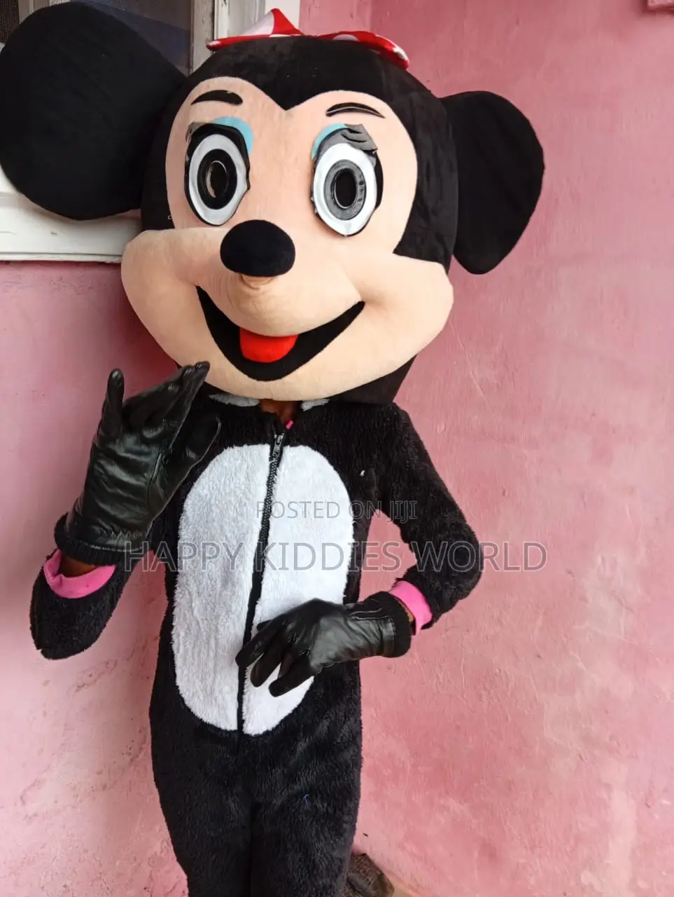 Mickey Mouse Costumes for Rent