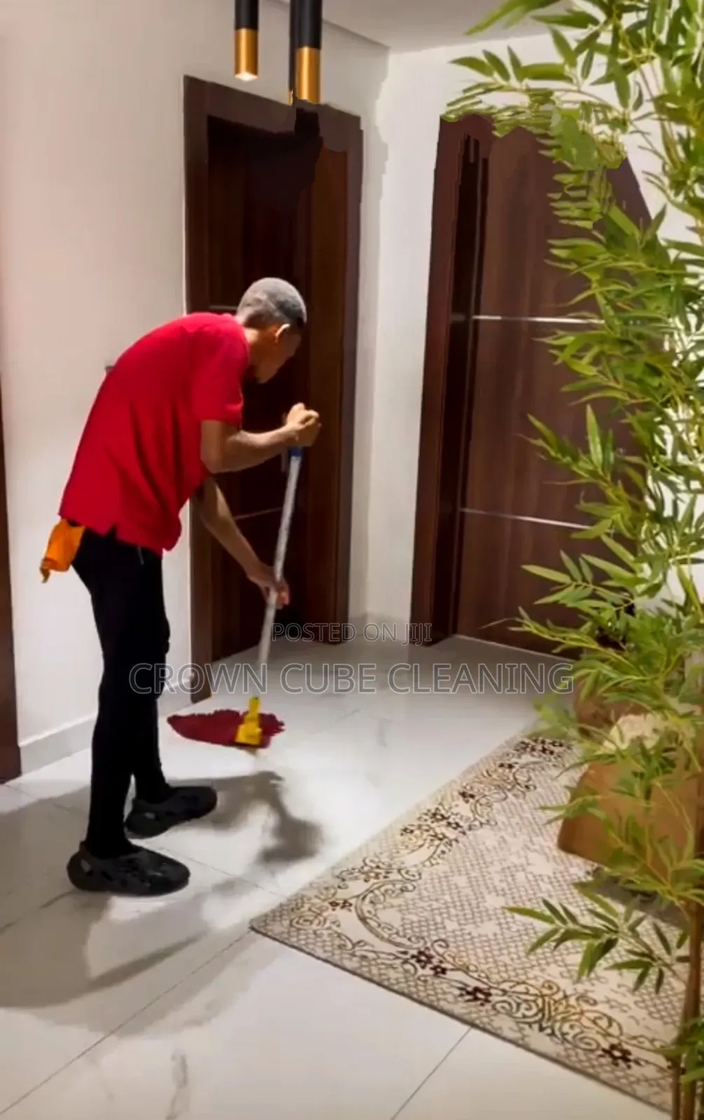 Fumigation, Couch Cleaning and Cleaning Services