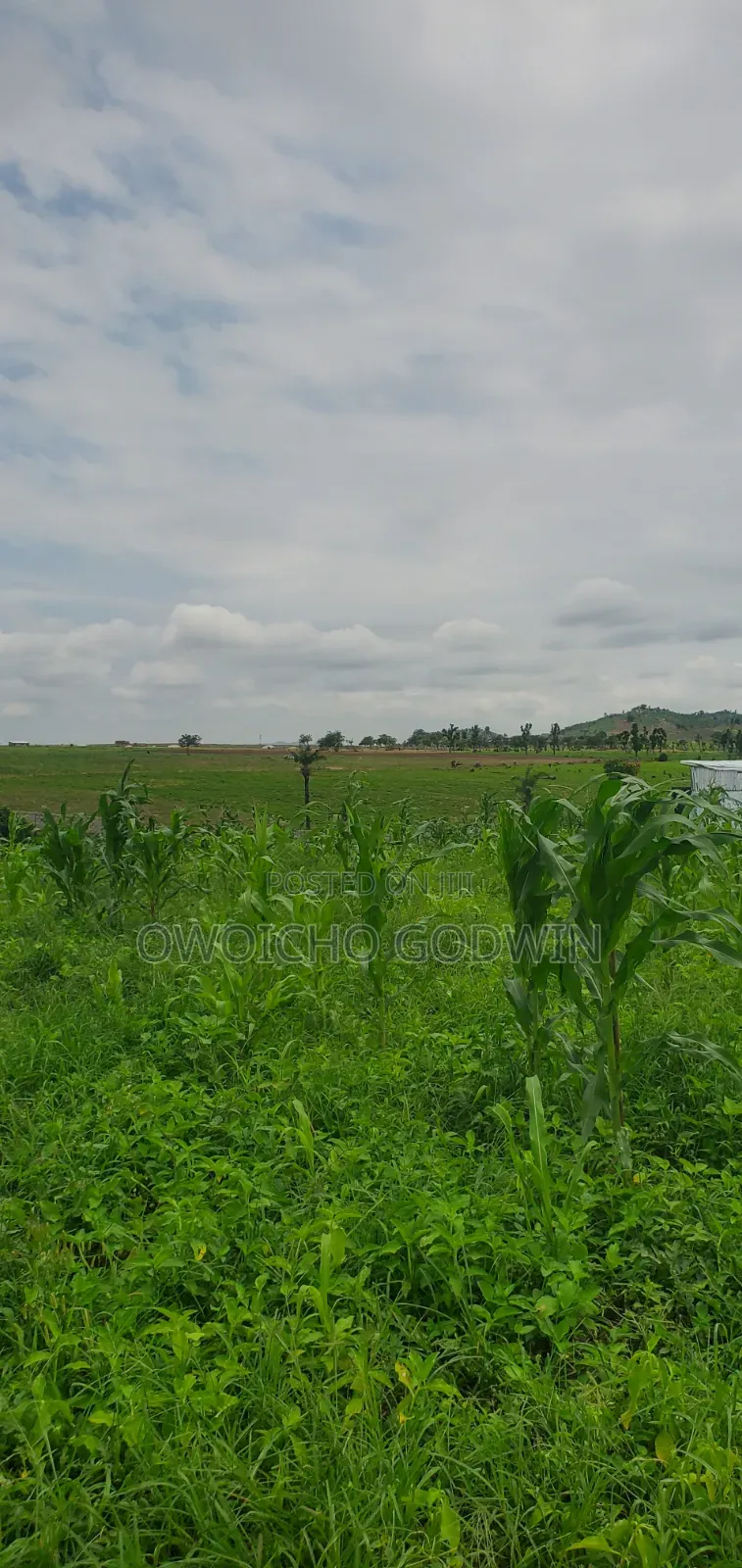 Need A 450 Sqm Land In Kuje?