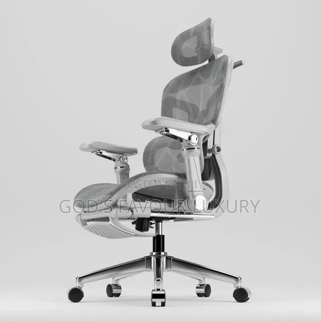 Ergonomic Mesh Office Chair With Massage.