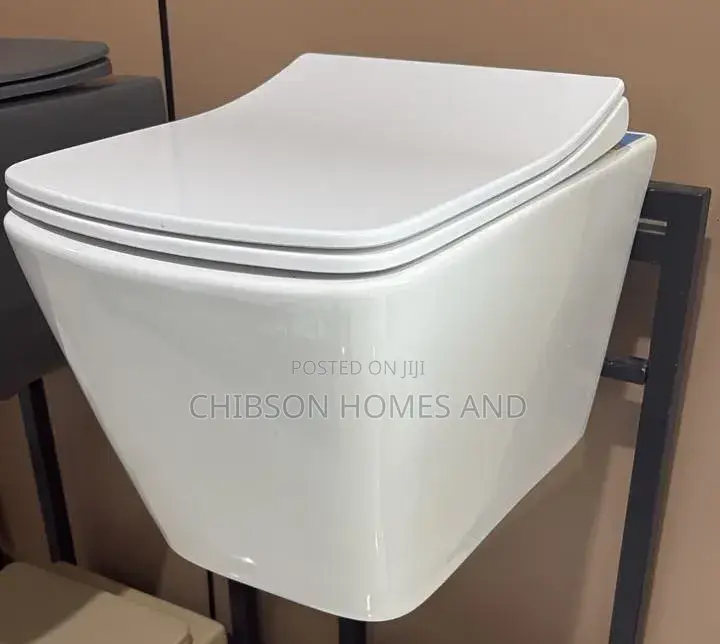 Modern Wall-Hung Toilet Bowl