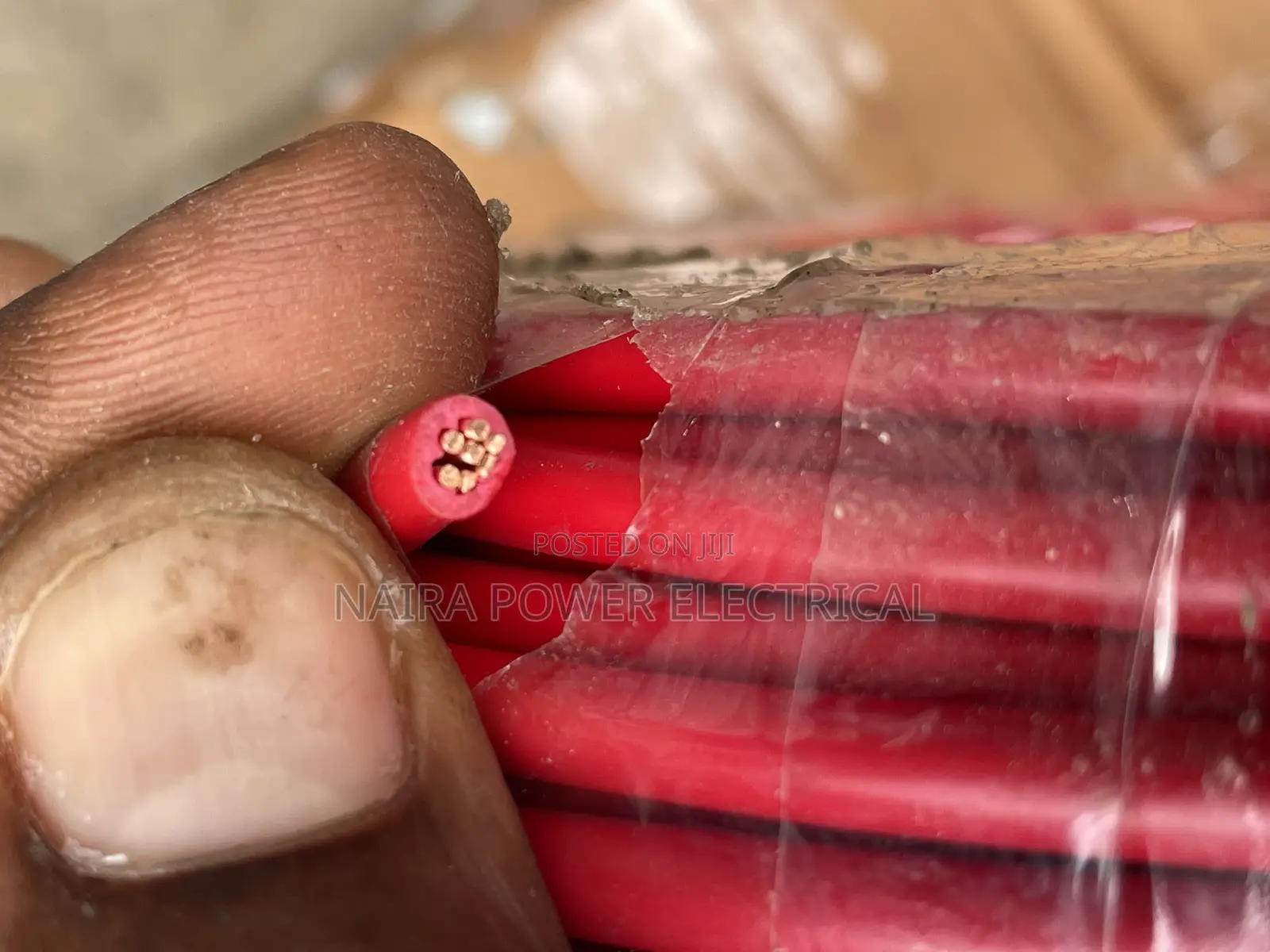 6mm Single Wire Lion