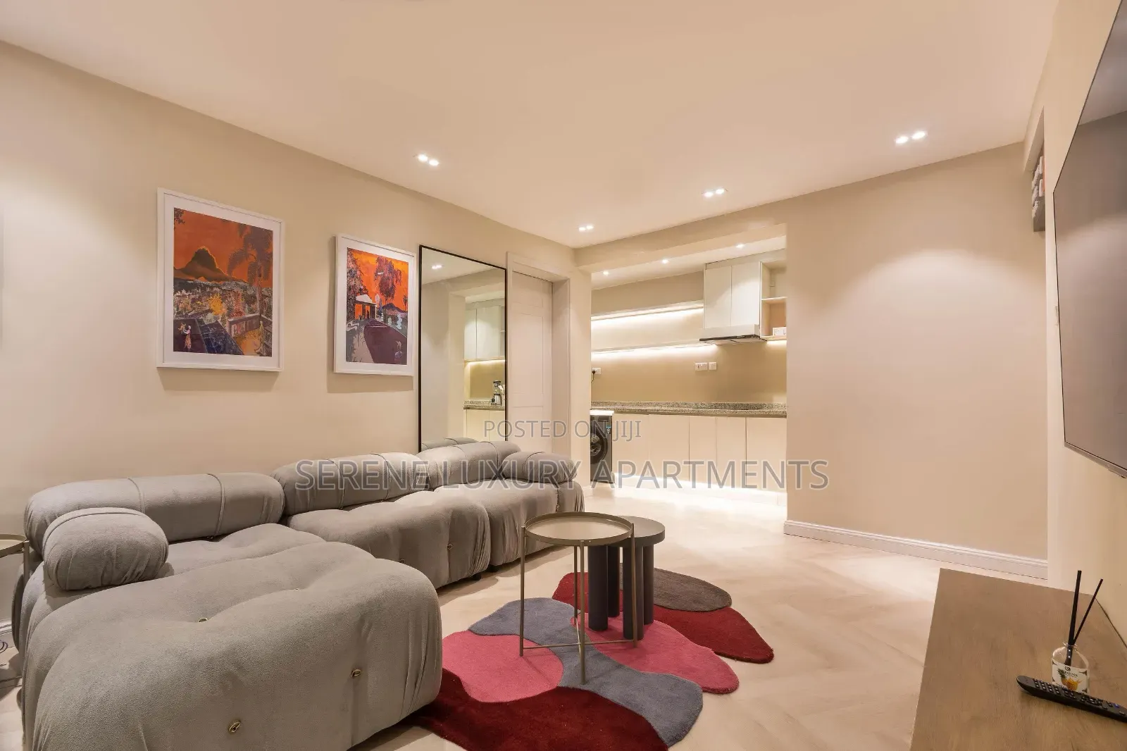 Luxurious One Bedroom Apartment With Gym