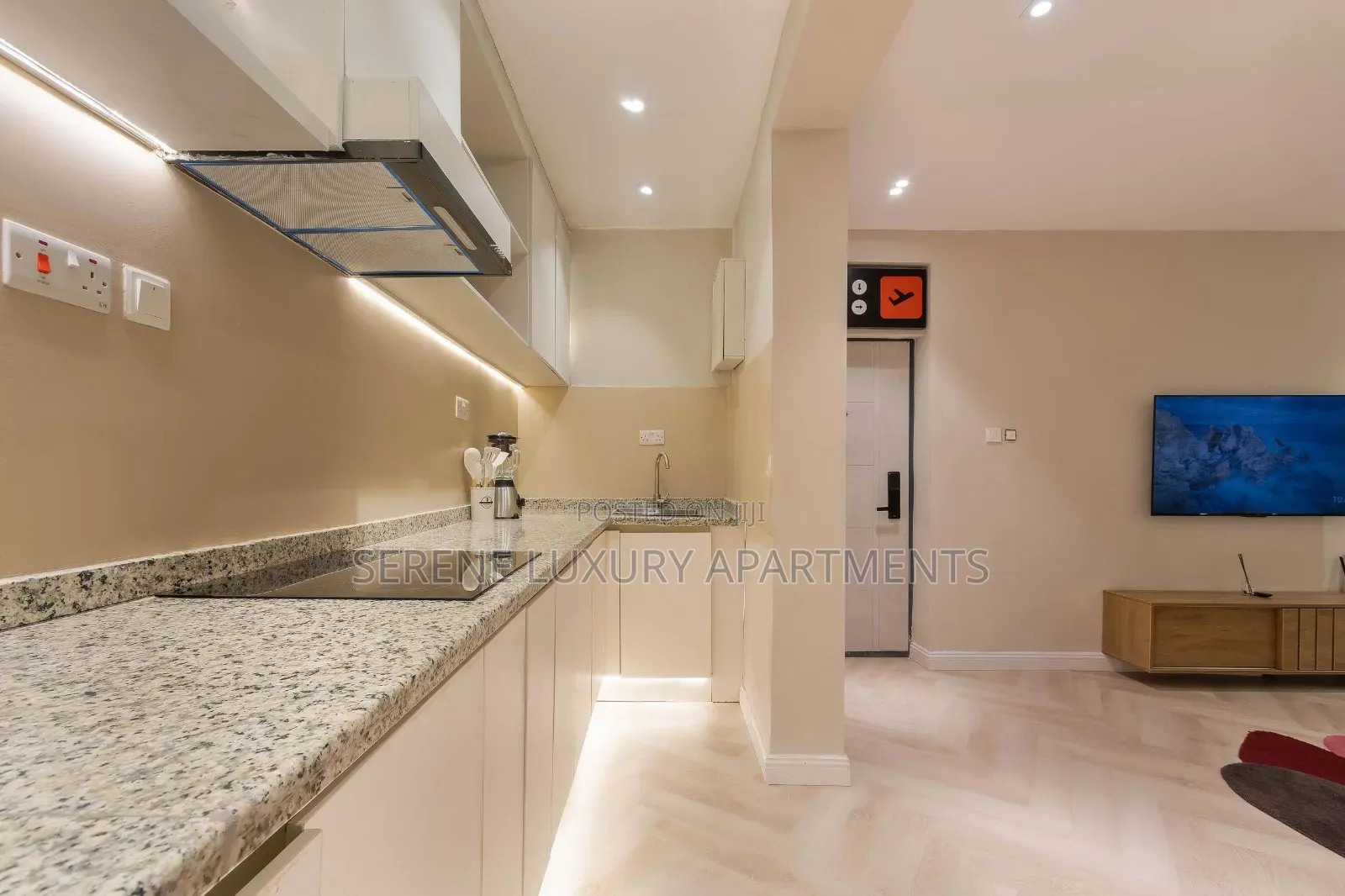 Luxurious One Bedroom Apartment With Gym