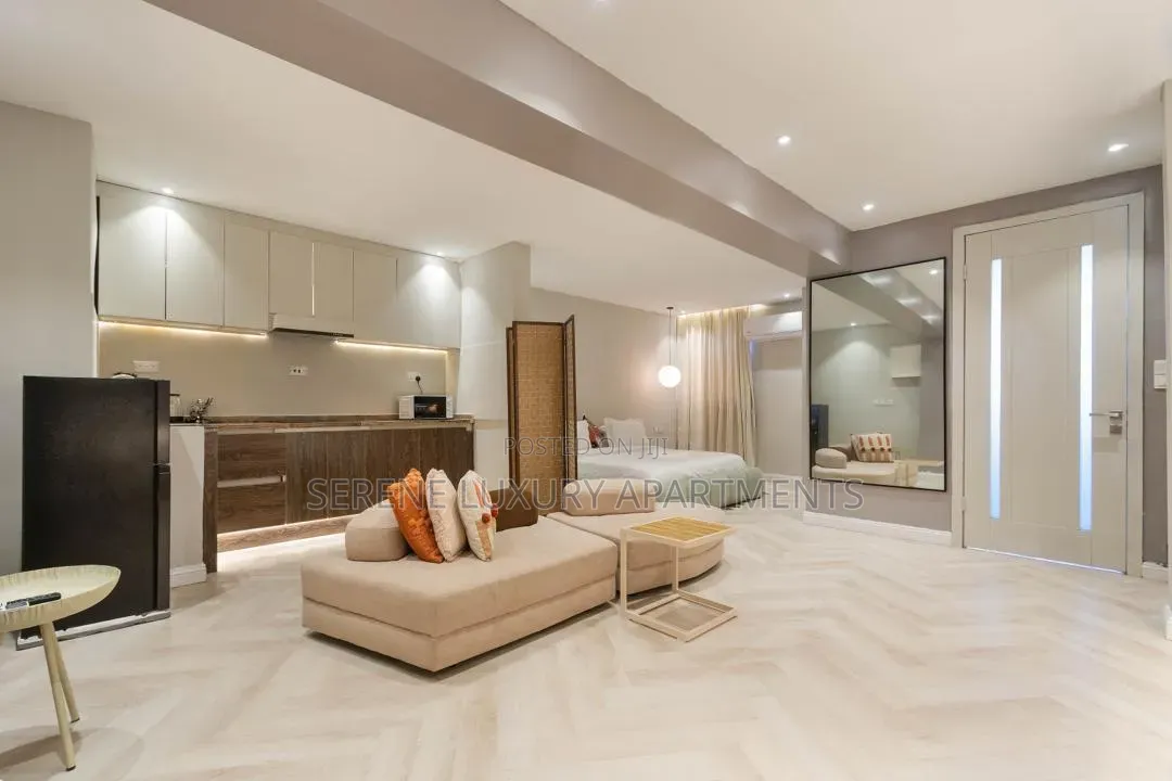 Spacious and Luxury Studio Apartment With Gym