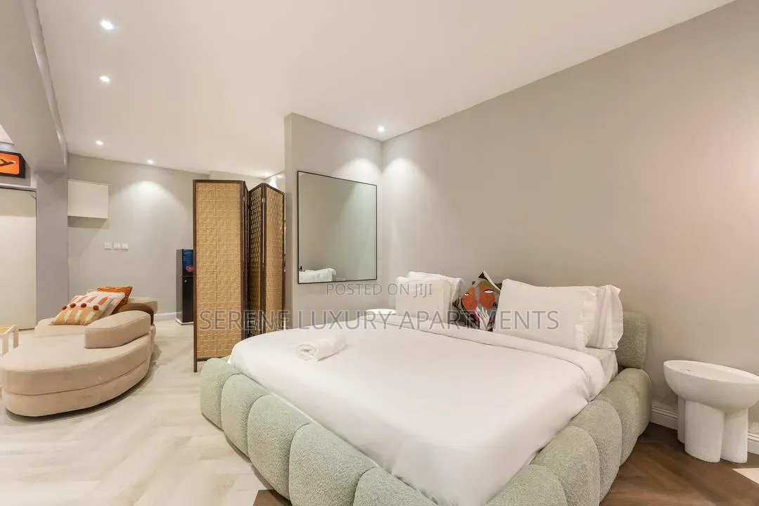 Spacious and Luxury Studio Apartment With Gym