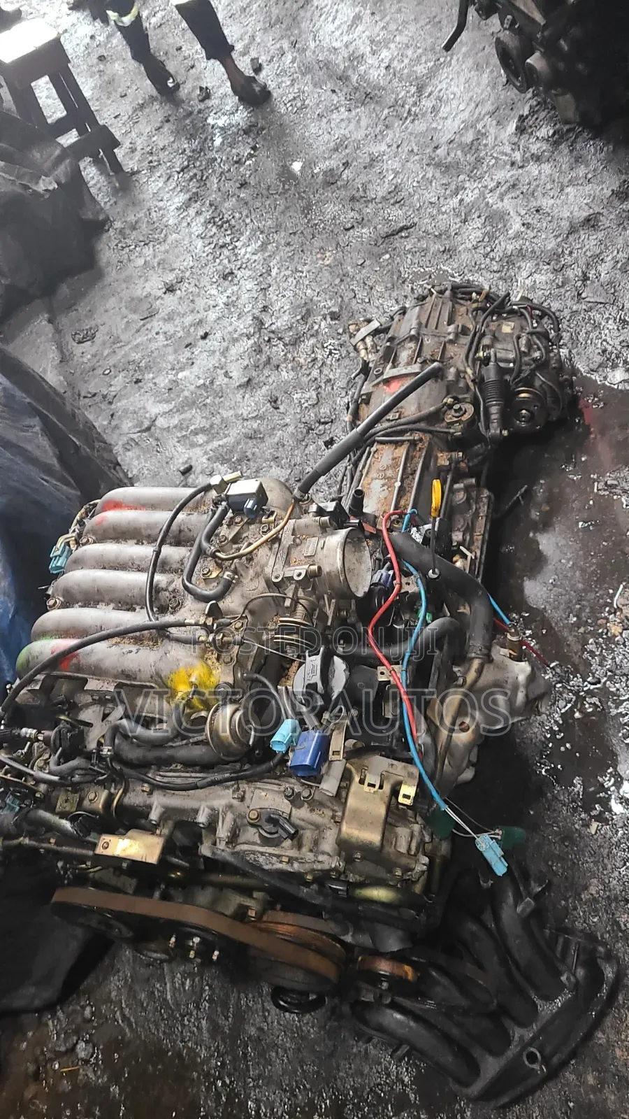 Nissan Pathfinder,Infiniti Qx4 3.5l Cable
