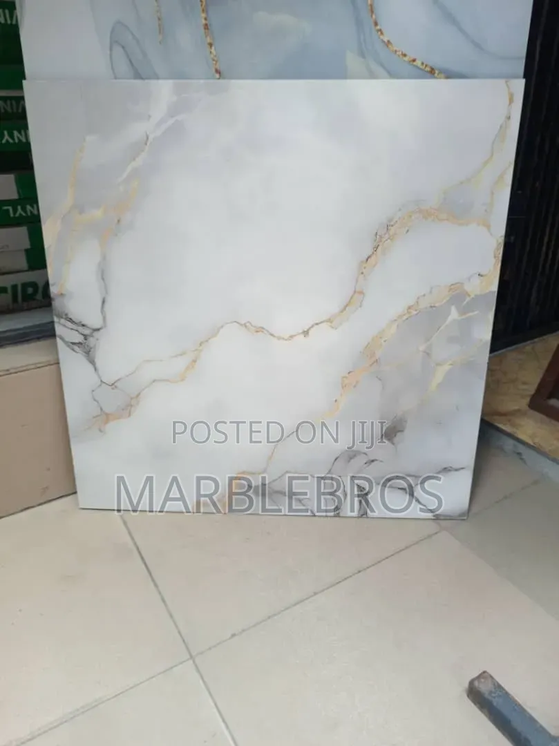 Mb71 Quality Tiles Available in 60*60