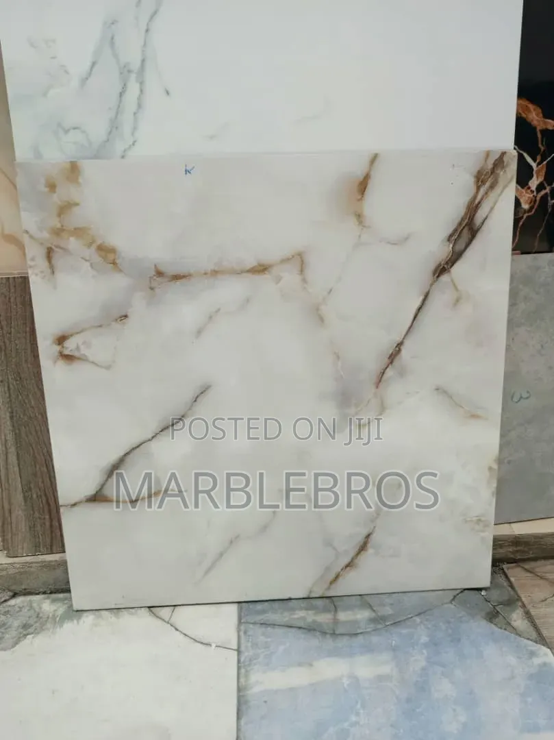 Mb71 Quality Tiles Available in 60*60