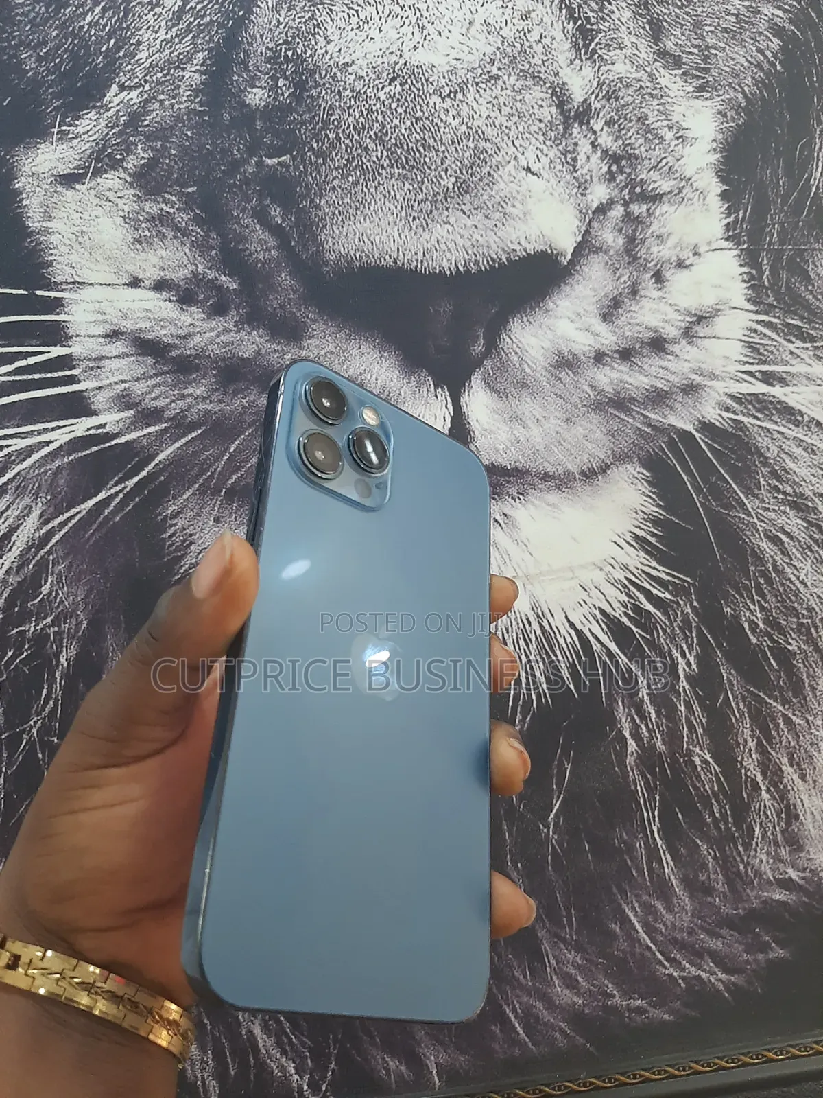 Apple iPhone 12 Pro Max 128 GB Blue