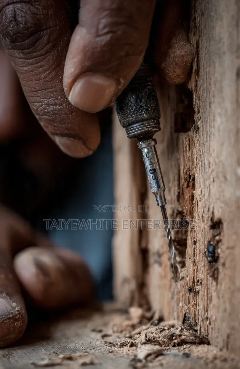 Bora ( Termite Treatment)