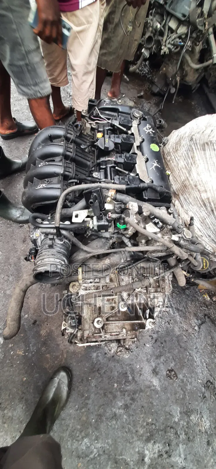 Al Kinds of Mazda and Ford Engine
