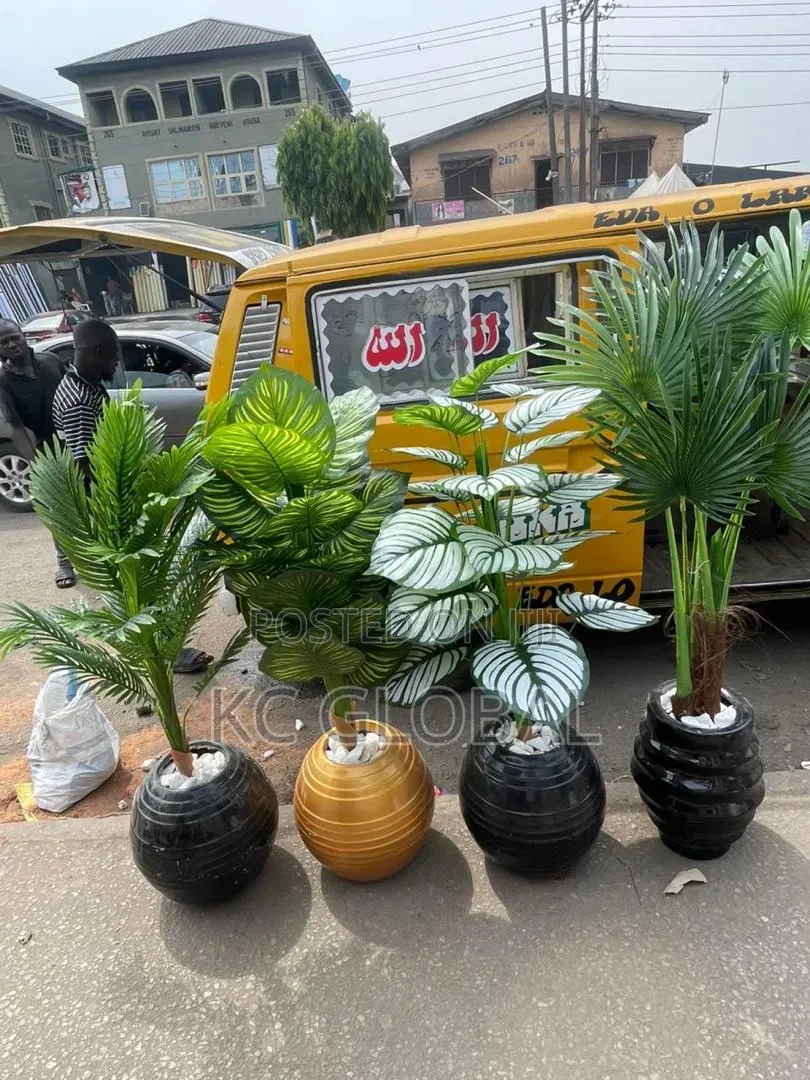 Outdoor and Indoor Flower and Vase Available